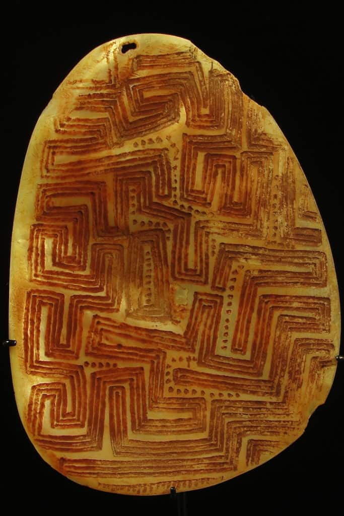 Perth Native Shell Aboriginal Pearl Shell | Aboriginal Pearlshell | Sell | Value