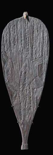 Very broad incised spear thrower from central australia