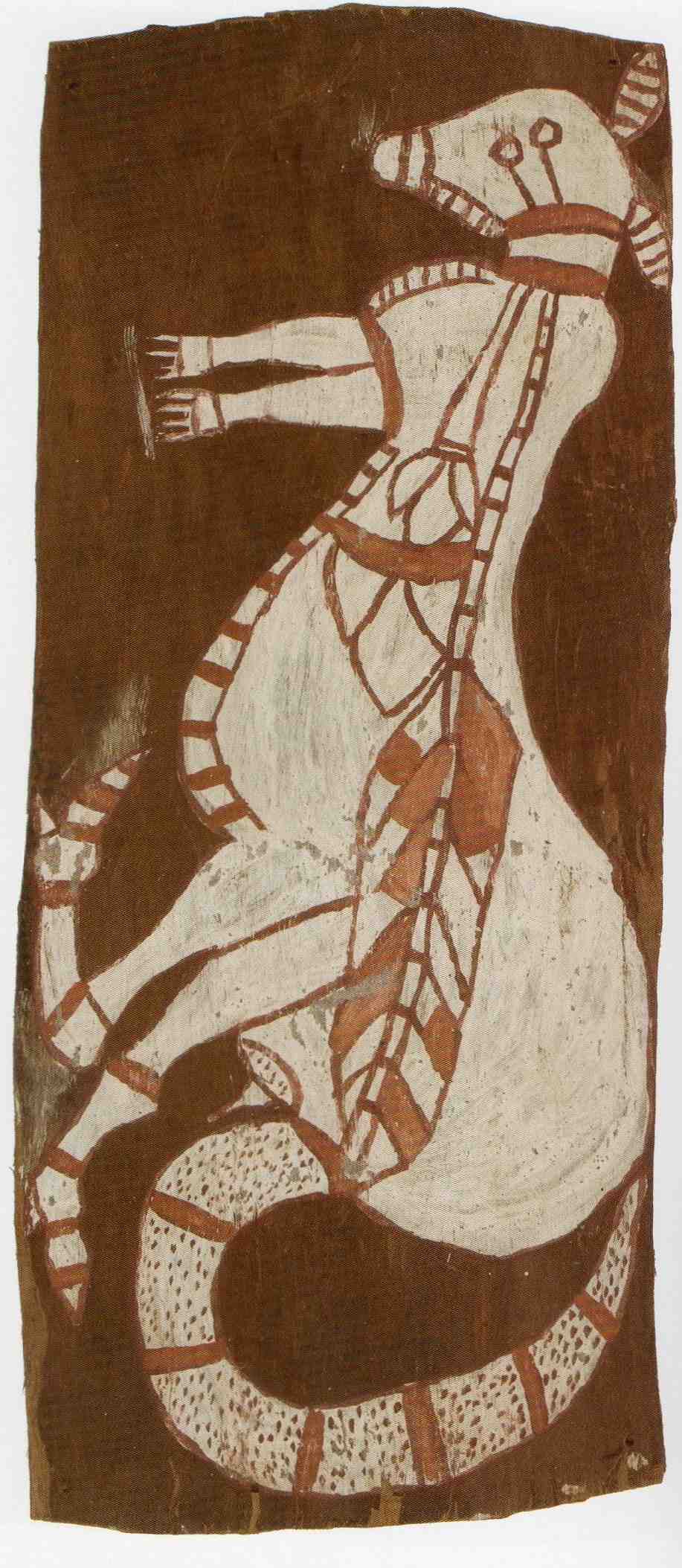 bark painting of a kangaroo by midjawmidjaw