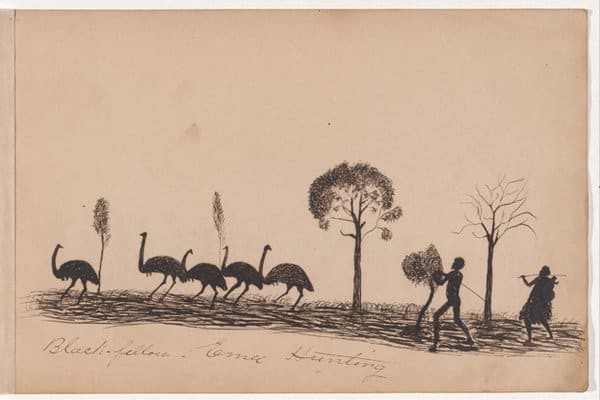 Tommy-McRae-sketch of aboriginals hunting emu