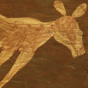 Dick Murra murra Kangaroo