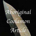 Aboriginal coolamon