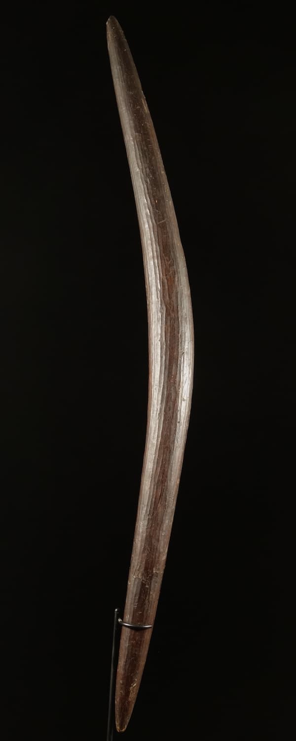 boomerang