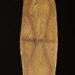 Aboriginal Parrying Shield