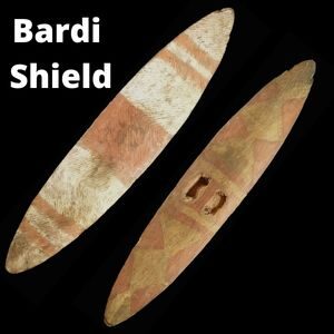 Aboriginal bardi shield