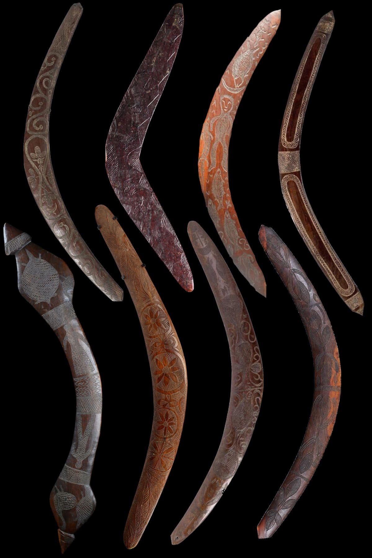 Transitional Boomerangs