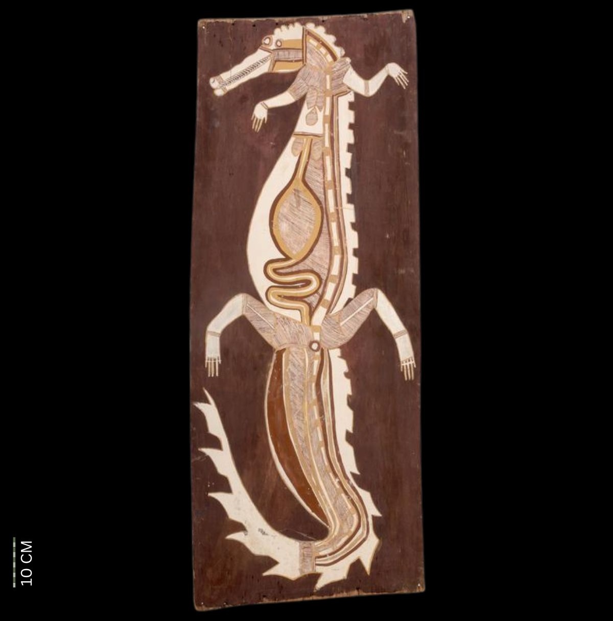 20 Crocodile