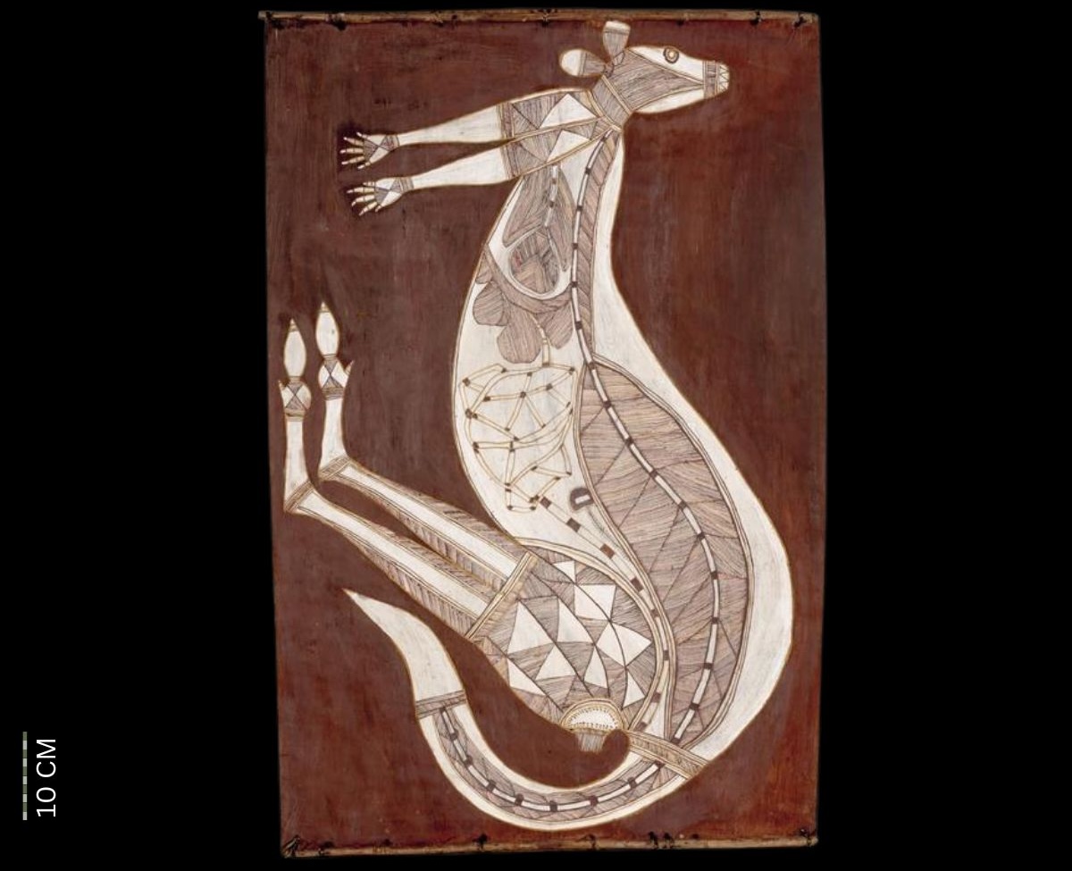 Kolobarr, the Plains Kangaroo