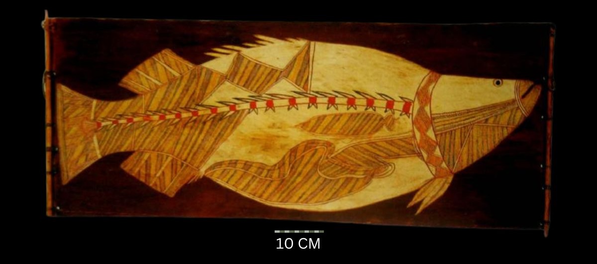 Barramundi 1973