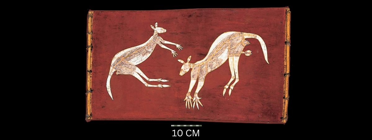 Two kangaroos