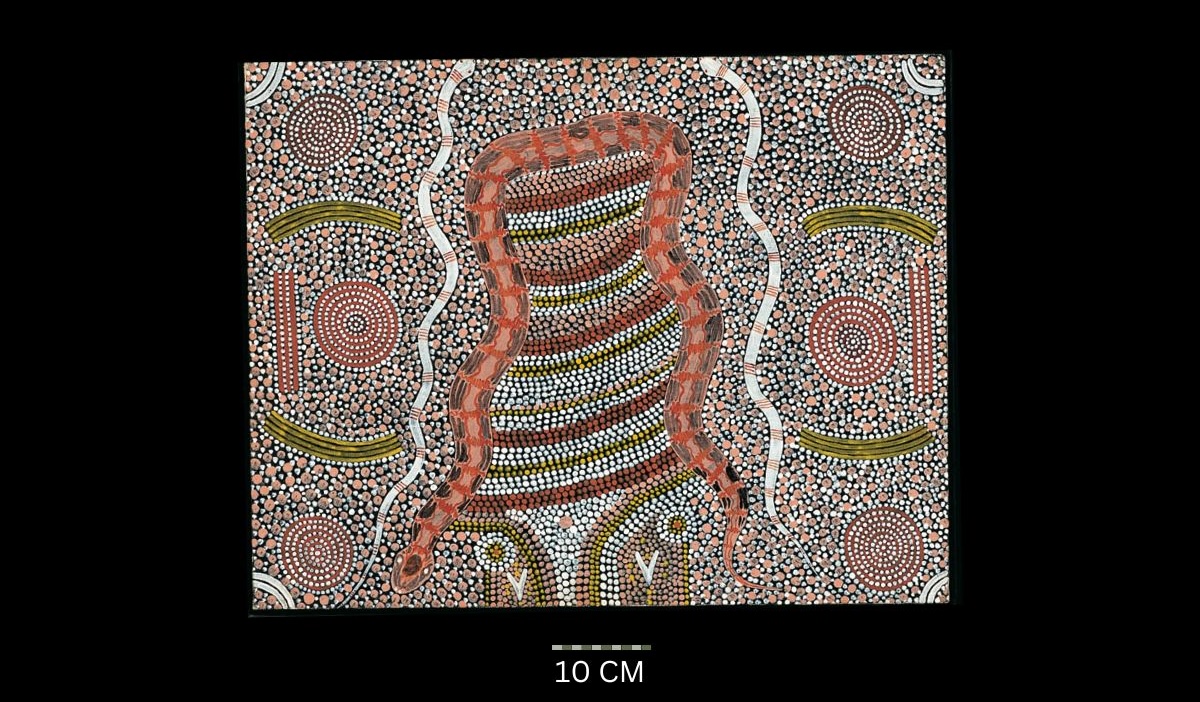Snake Story 1973-74