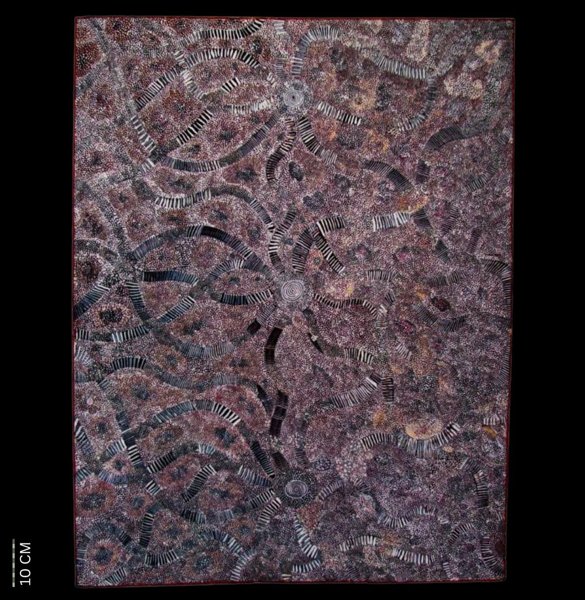 Ngalyilpi (A Small Snake) Dreaming 1972