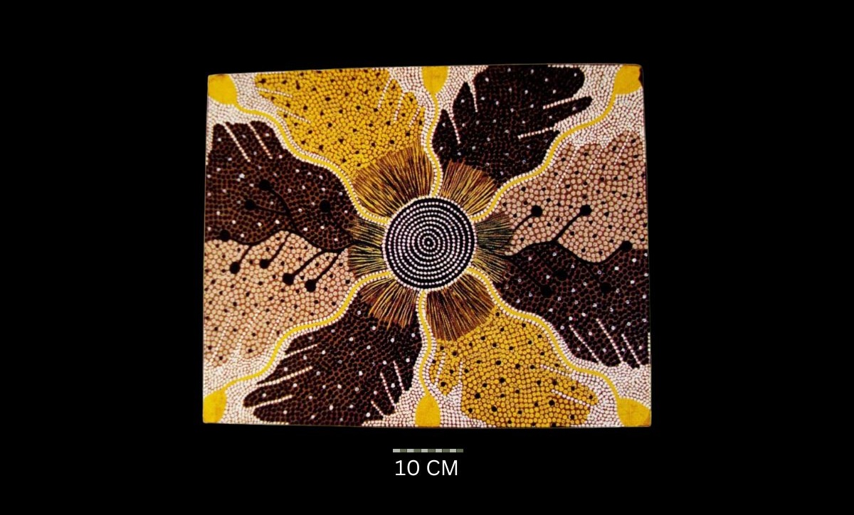 Wild Potato Dreaming 1979