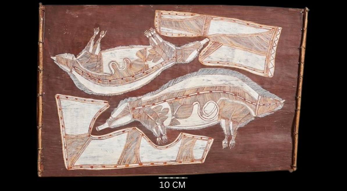 Ngarrbek (Echidnas)