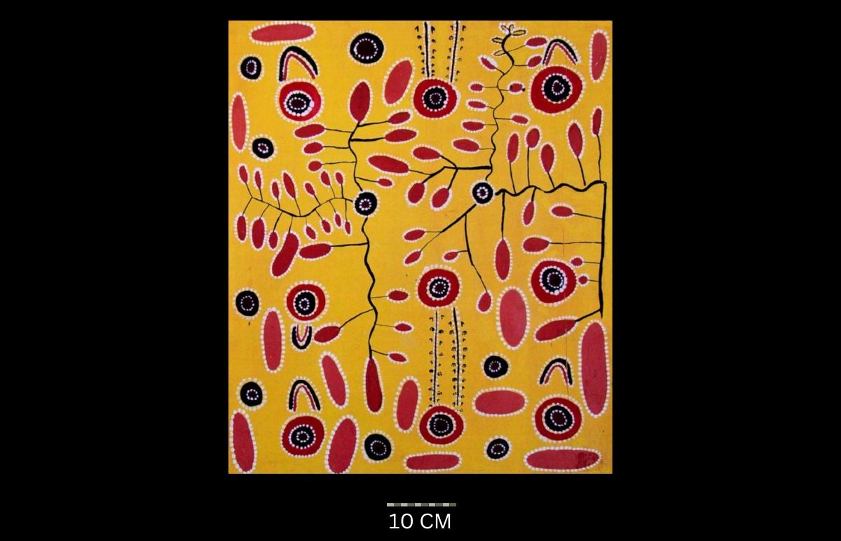Wild Potato (Yala) Dreaming 1971