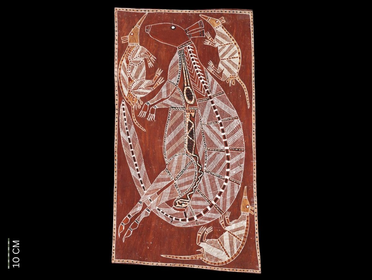 Sacred Kangaroo (Kundaagi) and Northern Bandicoot