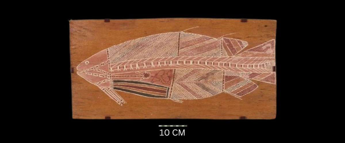 Baramundi, c. 1970s