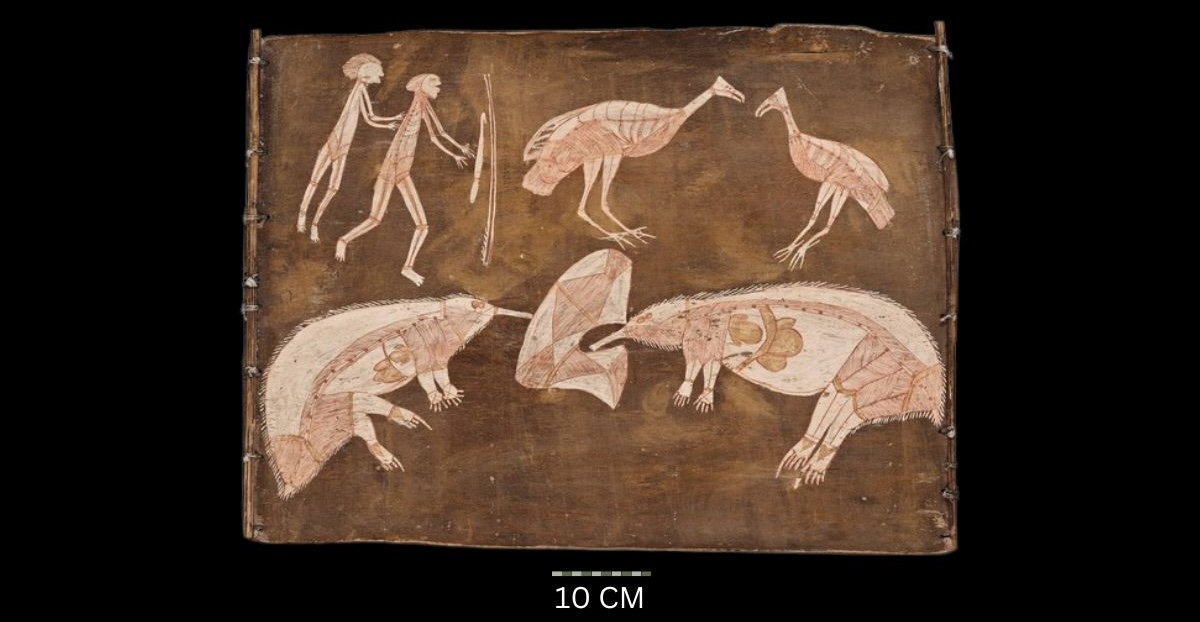 Echidna and emu's