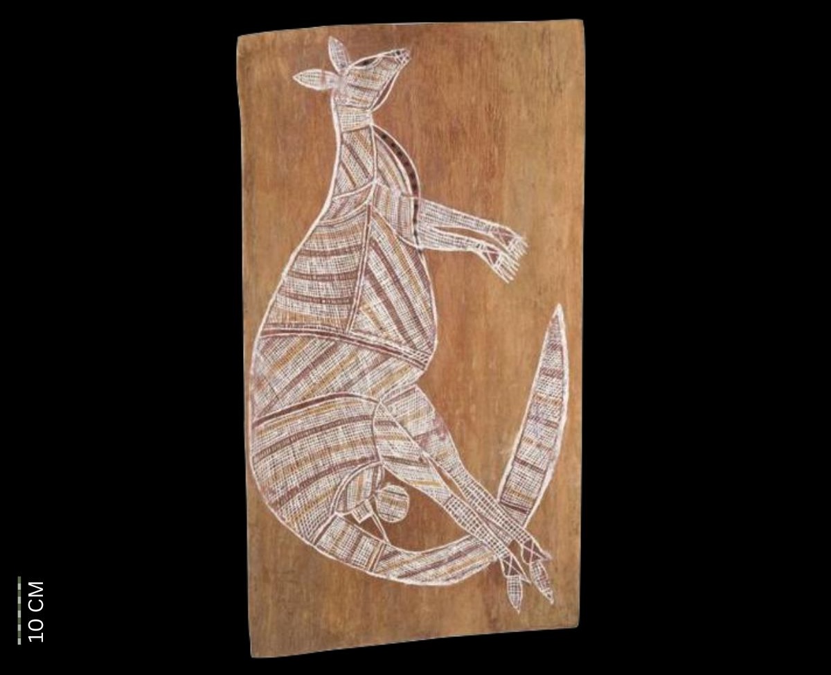Male Kangaroo 1965