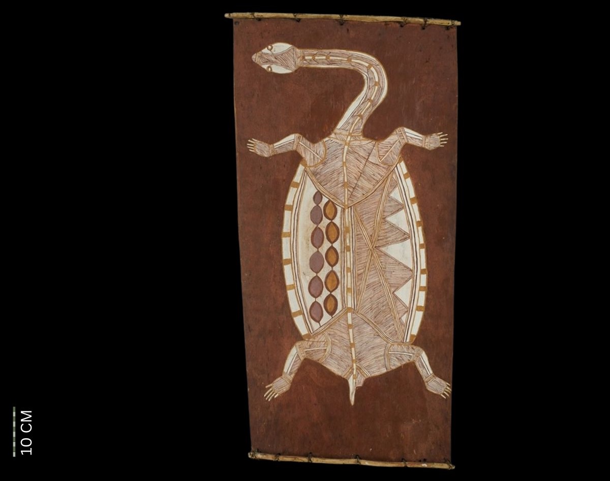 Long Neck turtle