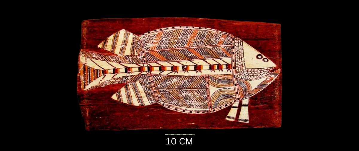 Baramundi, c. 1970s