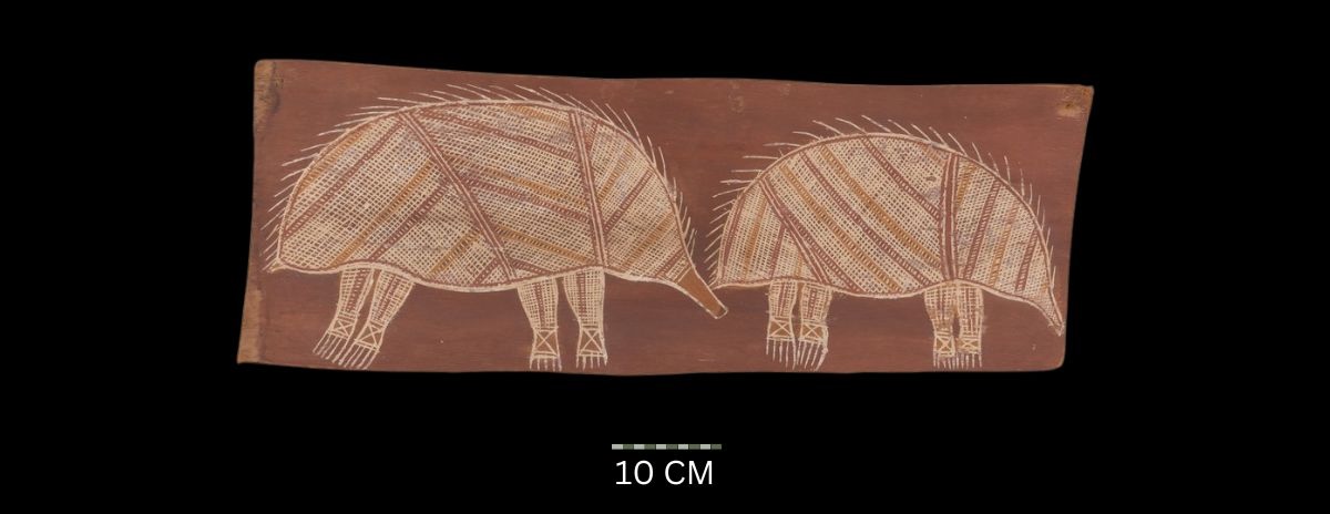 Porcupine Dance at Mating Time