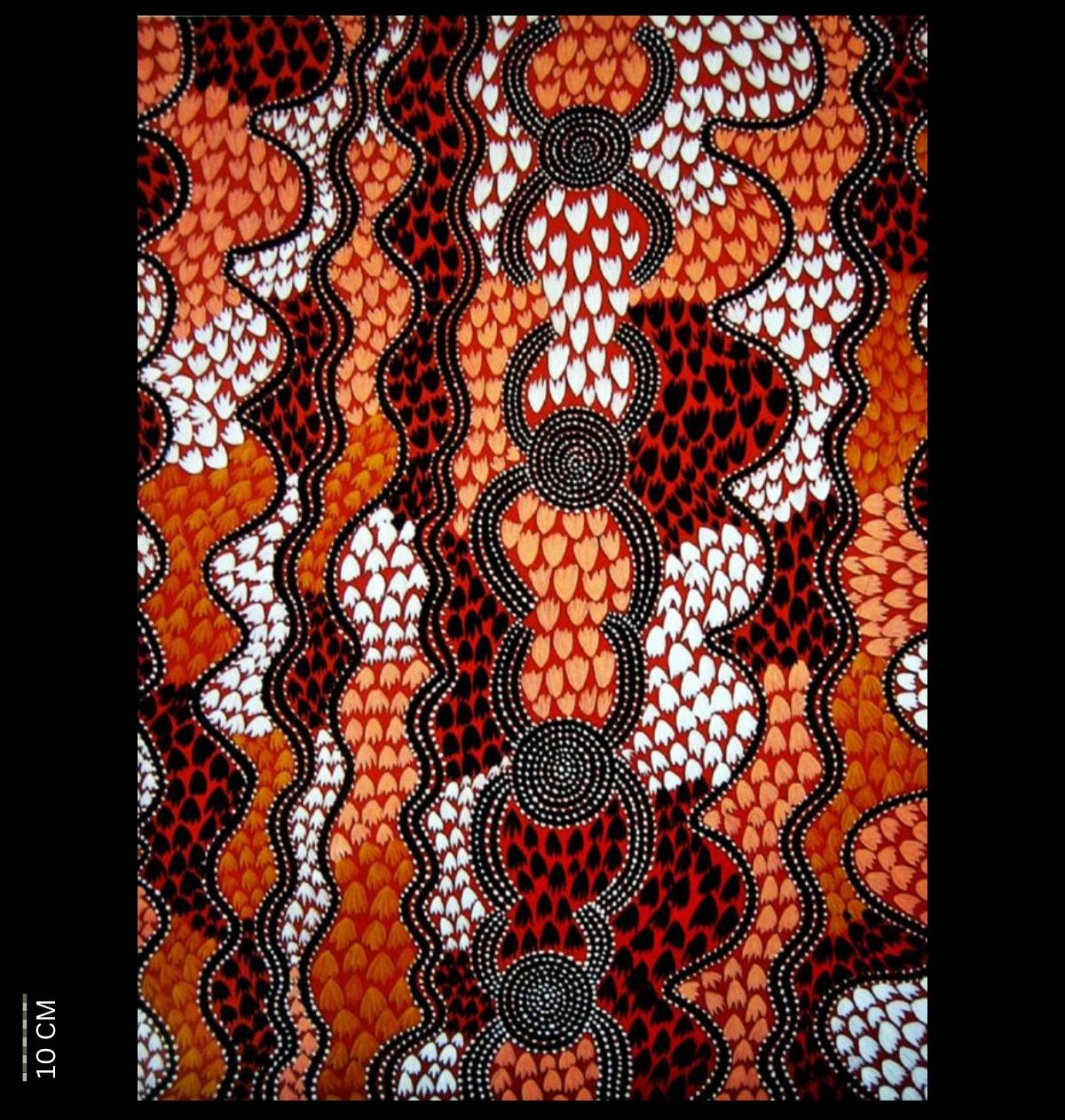 Frog Corroboree 1973