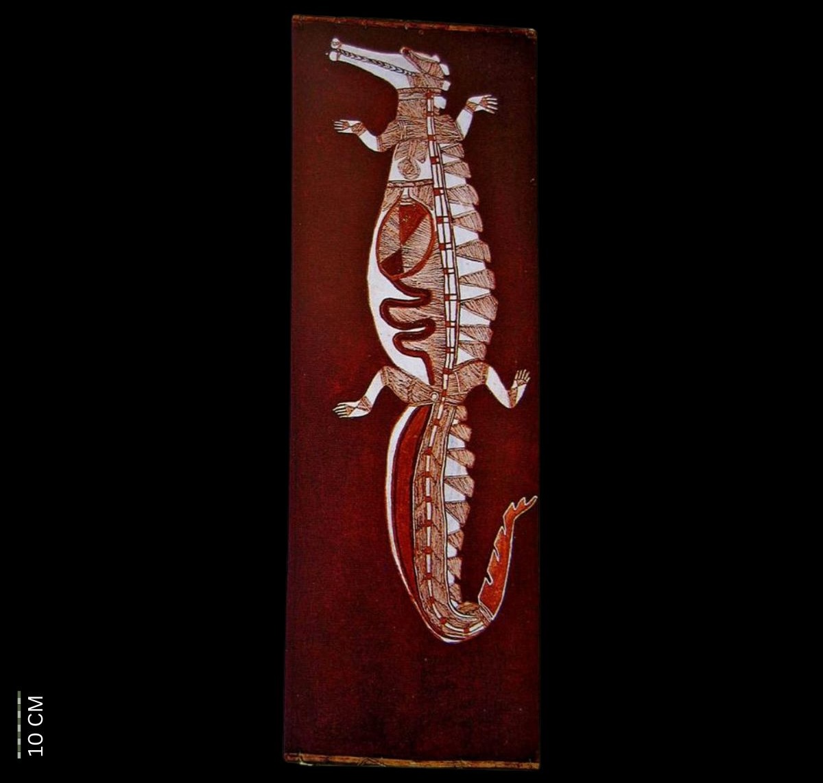 Crocodile