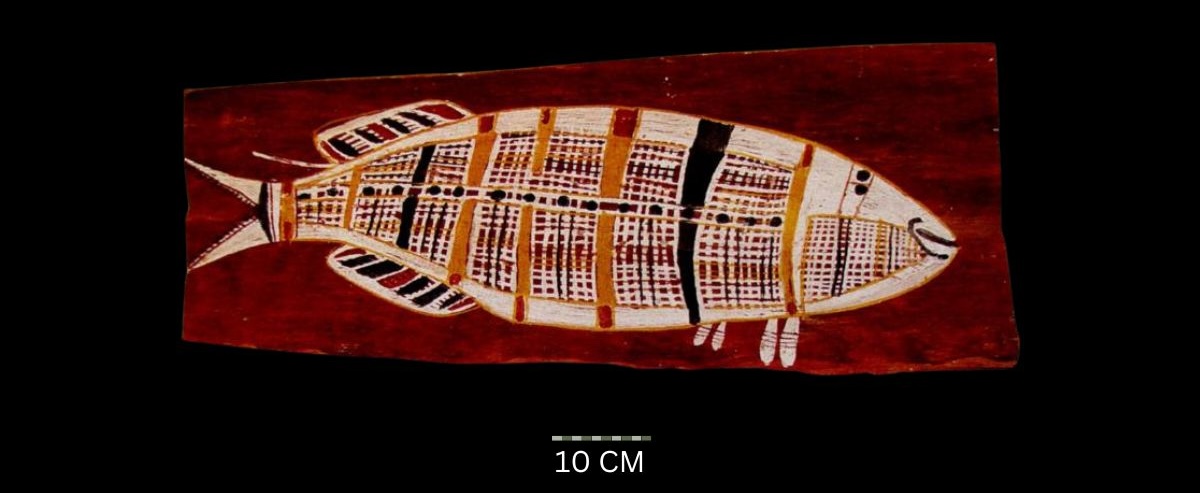 Barramundi c. Early 1960s