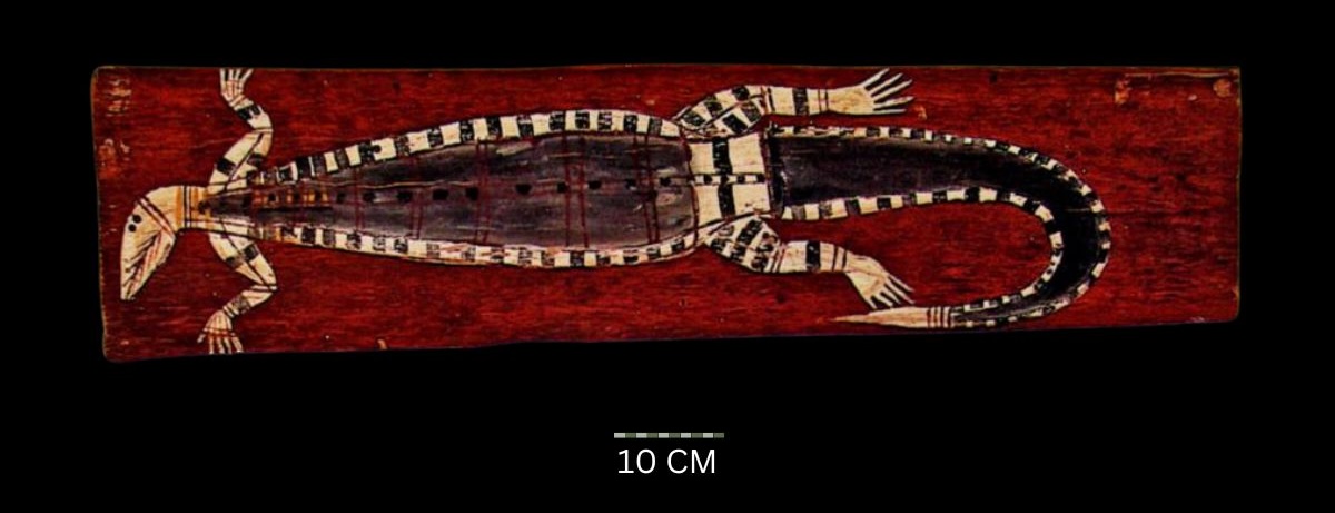 Female Goanna 1957