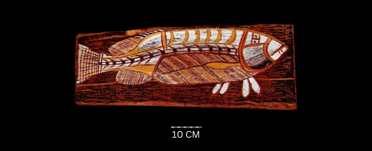 Barramundi c. 1965