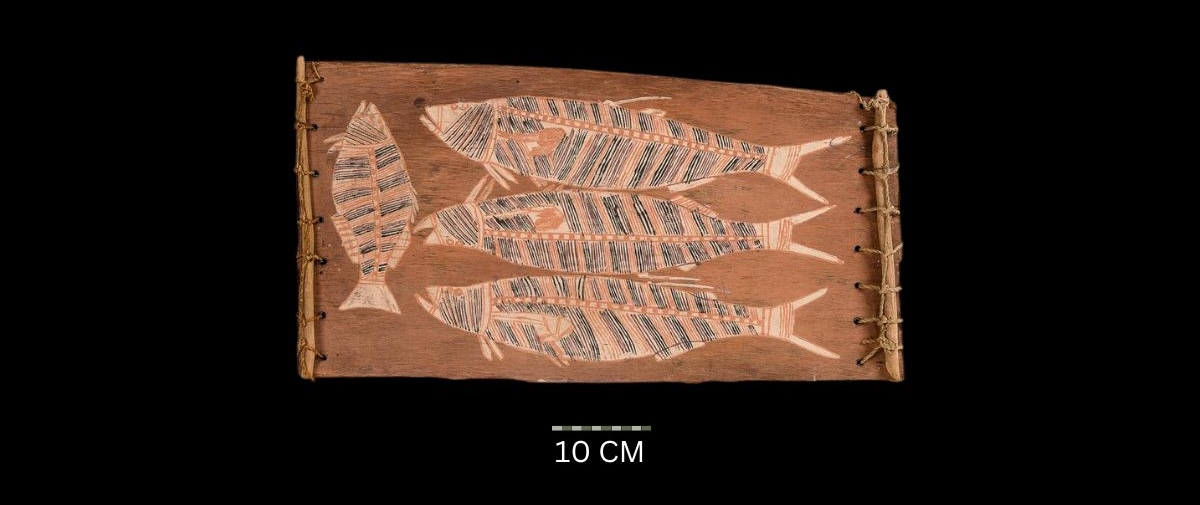 Barramundi Fish (1970)