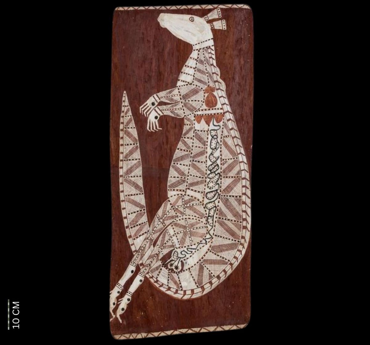 Grey Rock Wallaby - Mardayin Ceremony