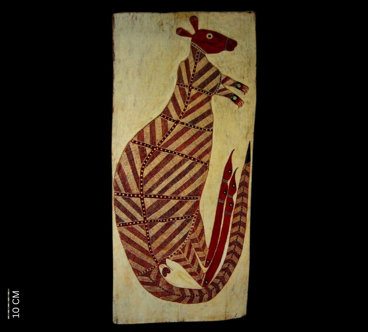 Kundaaki the Red Plains Kangaroo 1975