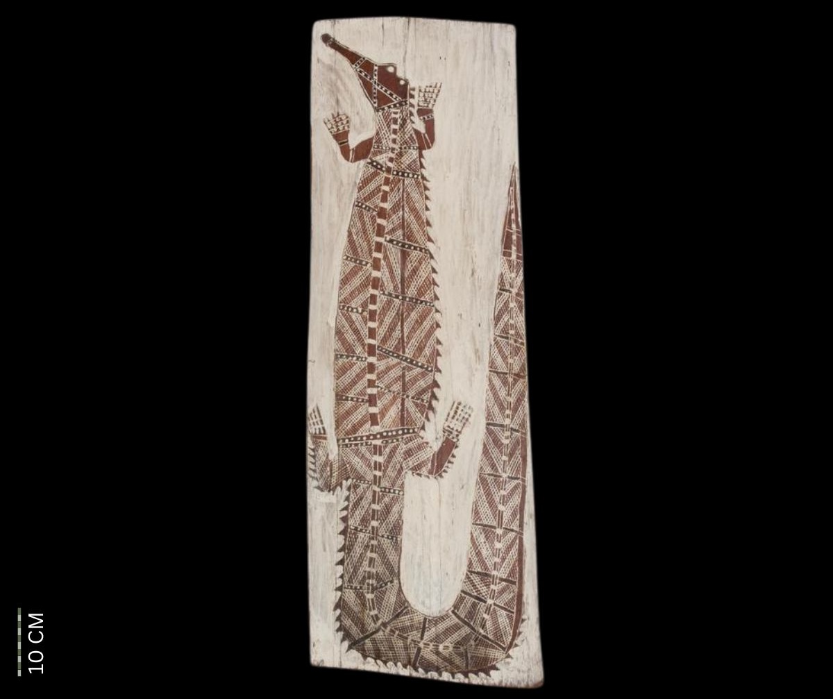 Crocodile (Golomomo