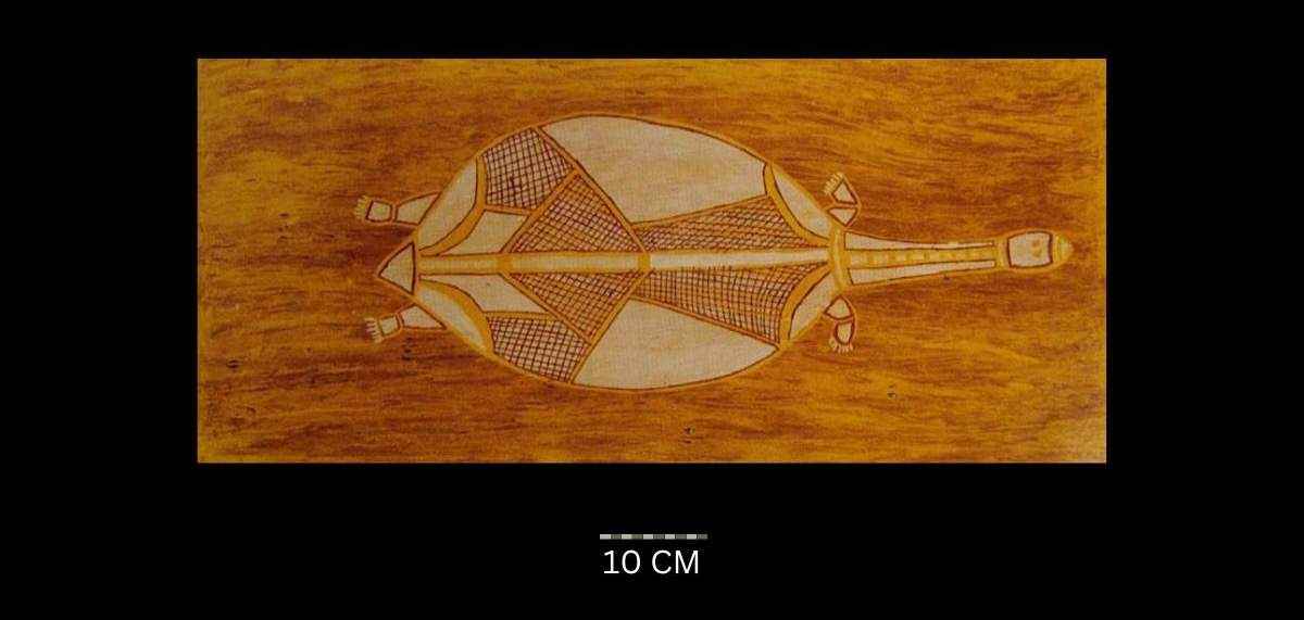 Long Neck Turtle 1966
