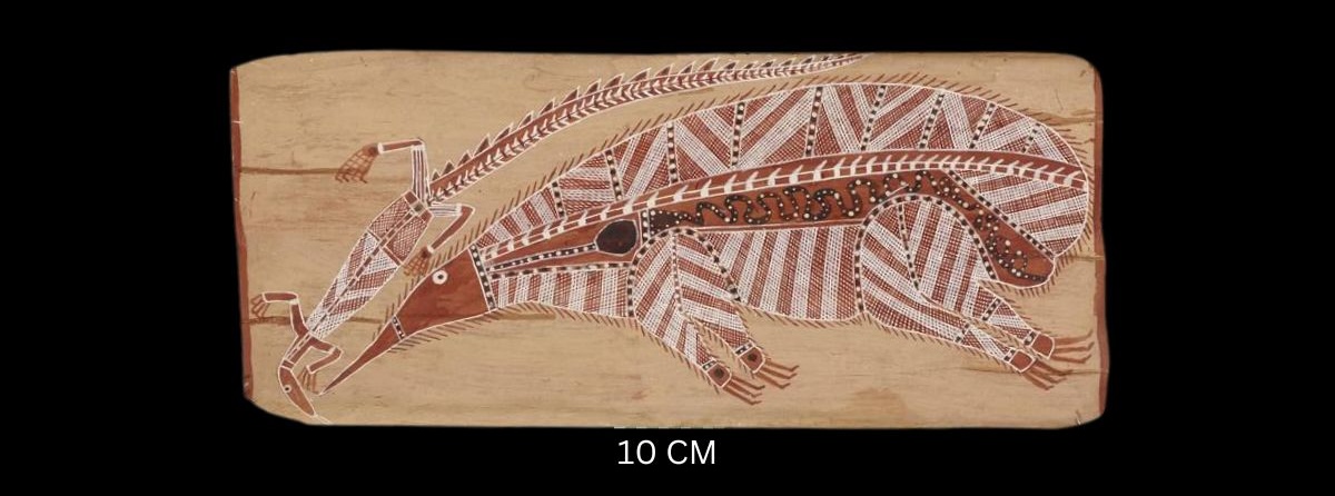 Echidna and Lizard