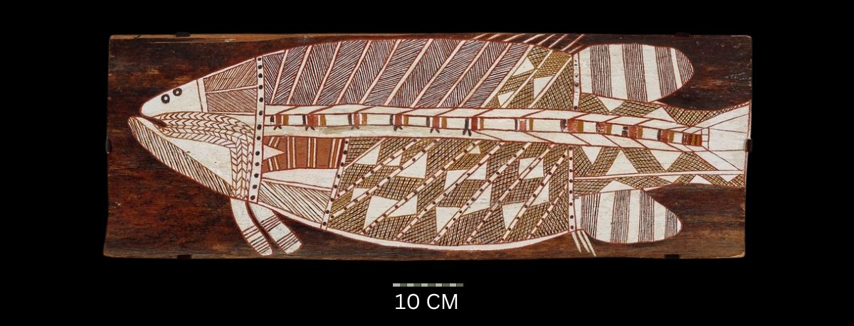 Barramundi, c.1968