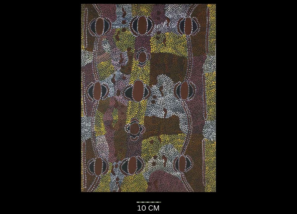 Possum Women's Dreaming Tim Leura Tjapaltjarri