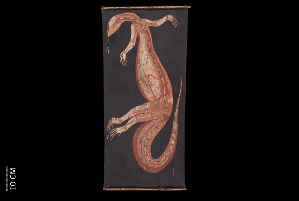 Goanna