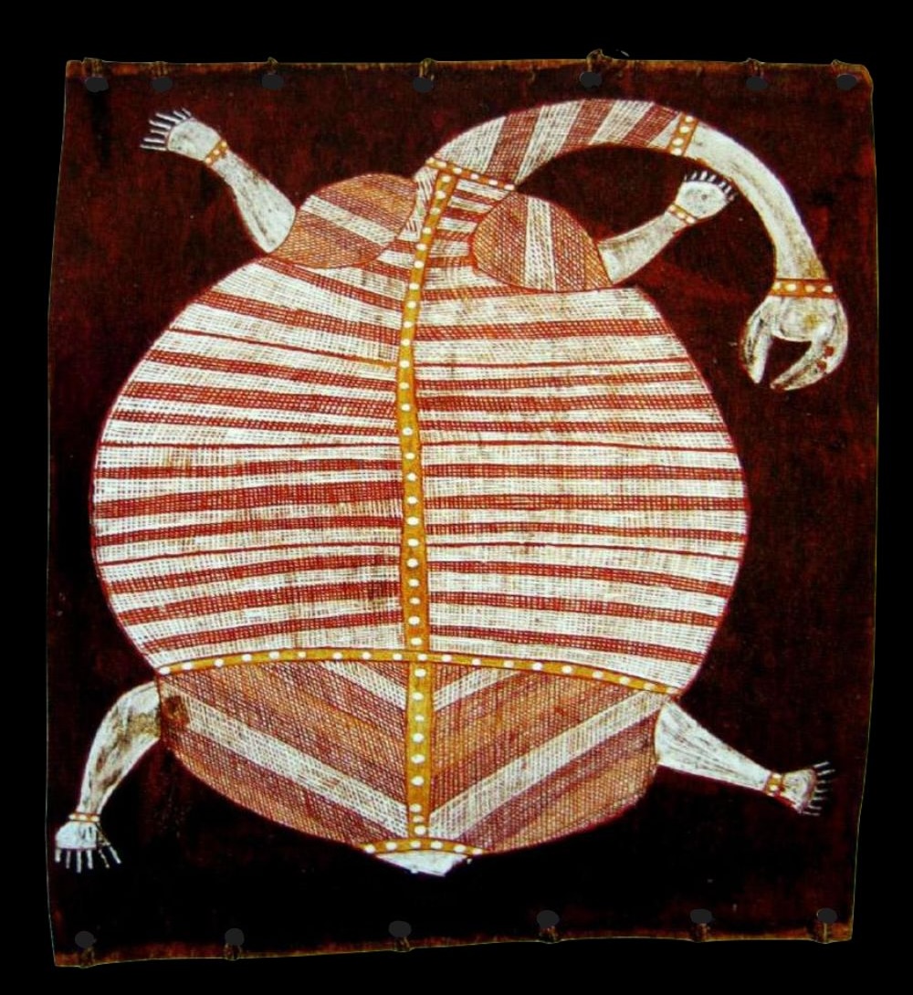 Ngalmangiyi the Long Necked Turtle by spider namirrki