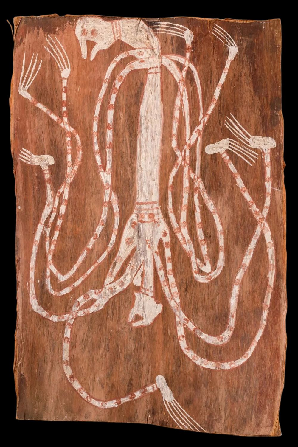 Paddy Cimpass Namatbara Maam spirit bark painting by Aboriginal artist Paddy Compass Namatbara, featuring elongated white and ochre striped limbs with rarrk cross-hatching, painted on natural eucalyptus bark in Western Arnhem Land style