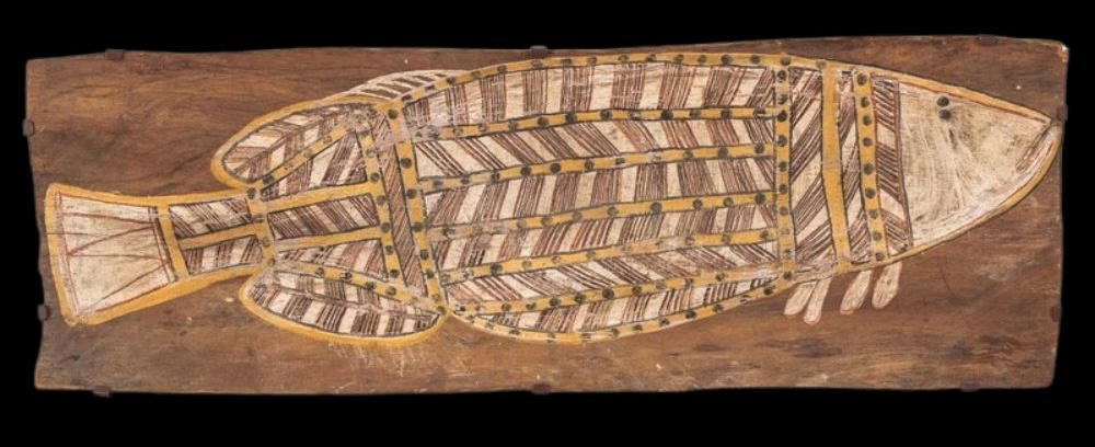 Paddy compass namatbara barramundi aboriginal bark painting of a barramundi by Paddy Compass namatbara