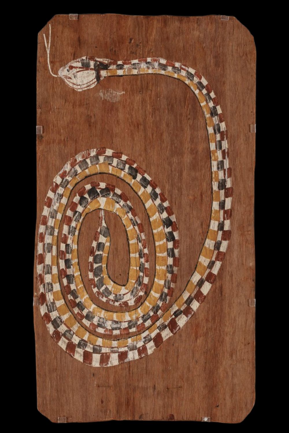 Snake by Jimmy Midjau Midjau Bark painting of a coiled ancestral snake by Jimmy Midjau Midjau, featuring a sinuous serpent in alternating bands of white, red ochre, yellow, and black, symbolising creation stories and the Rainbow Serpent's path across Arnhem Land, painted in natural earth pigments on stringybark.