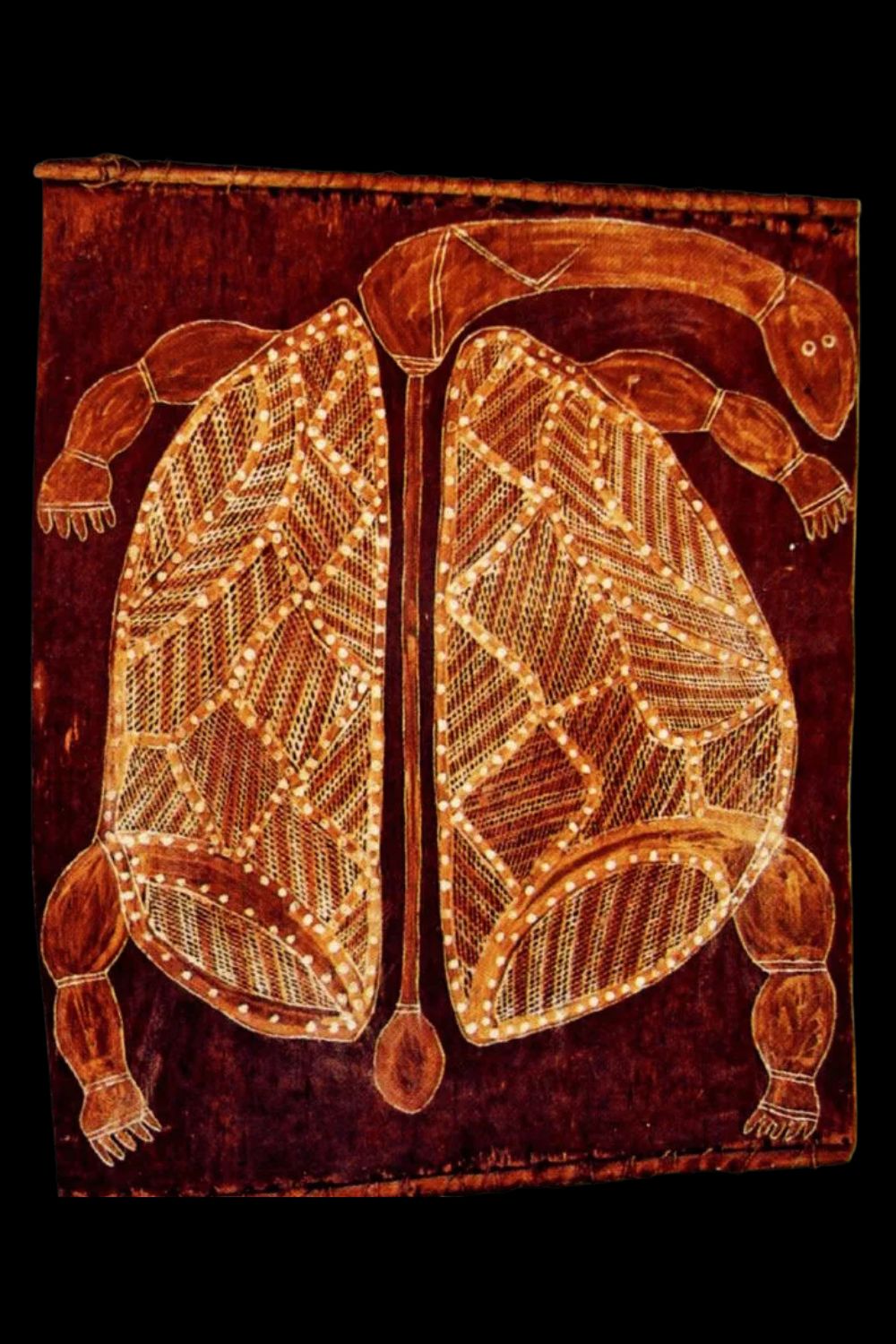 Aboriginal bark painting by old Nym depicting a sacred turtle