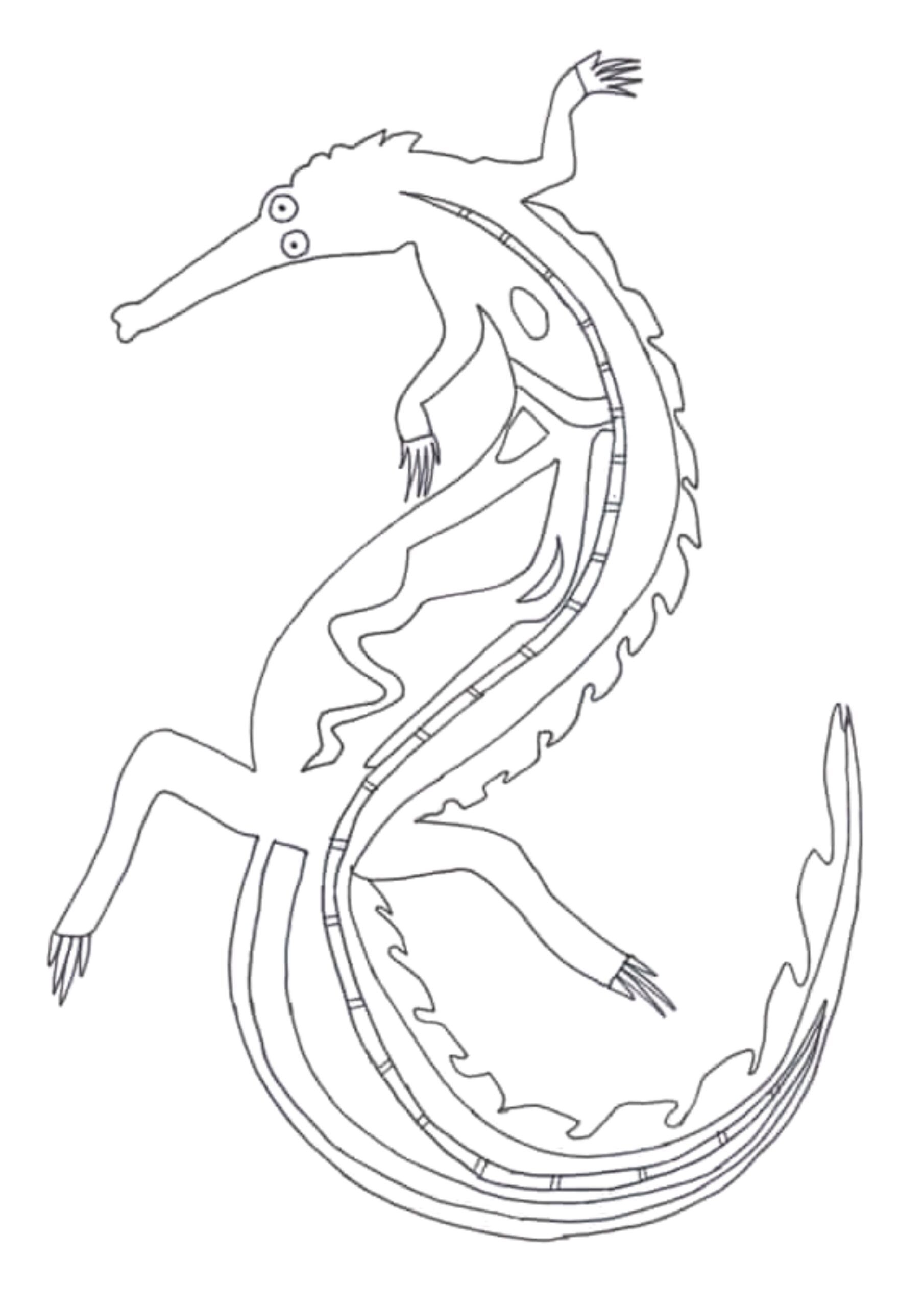 Outline of a Crocodile in X-Ray style for teachers to use as a colouring in resource for teachers, teaching about animals in aboriginal art