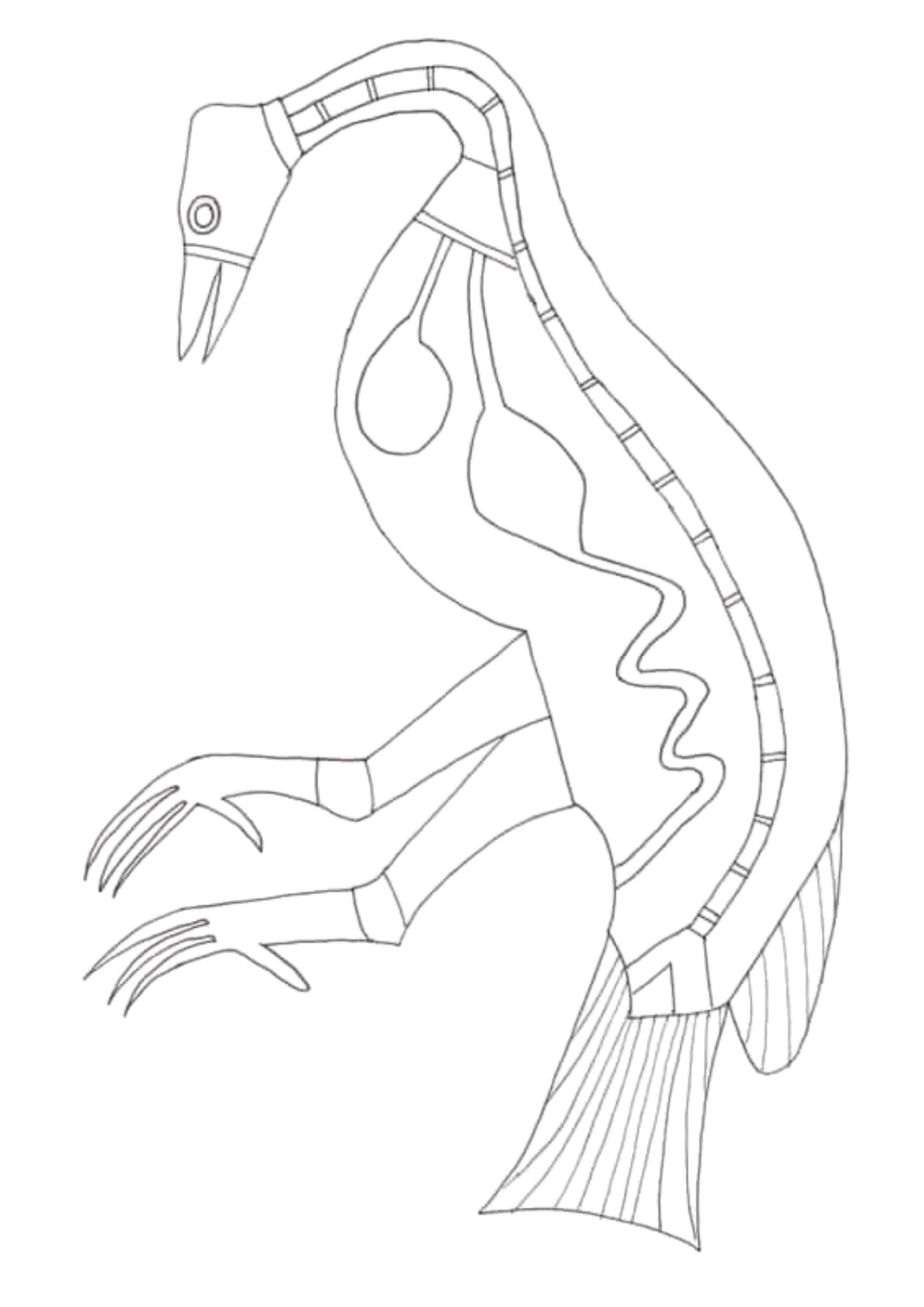 Outline of a Brolga in X-Ray style for teachers to use as a colouring in resource for teachers, teaching about animals in aboriginal art