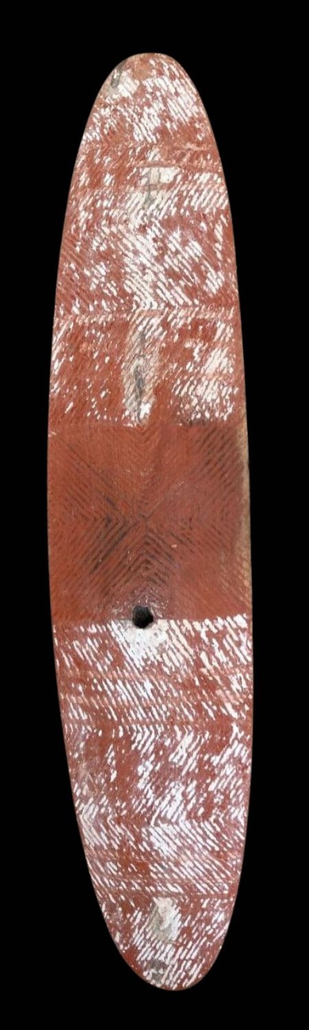 Aboriginal Bardi Shield for sale