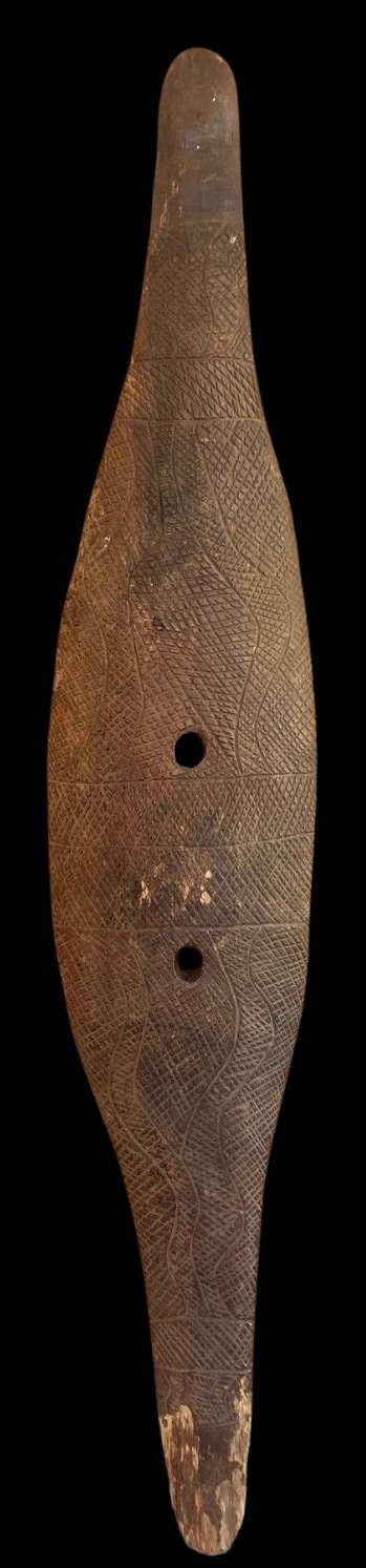 front view of a East Australian Broad shield