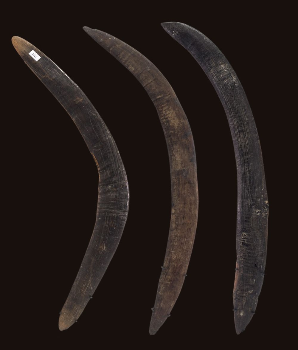 three Aboriginal Boomerangs from South Australia